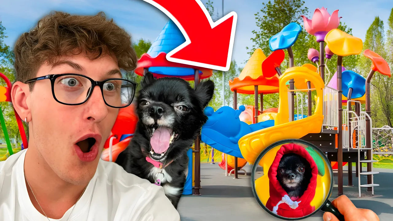 Load video: PUDDIN GOES TO THE PARK!!