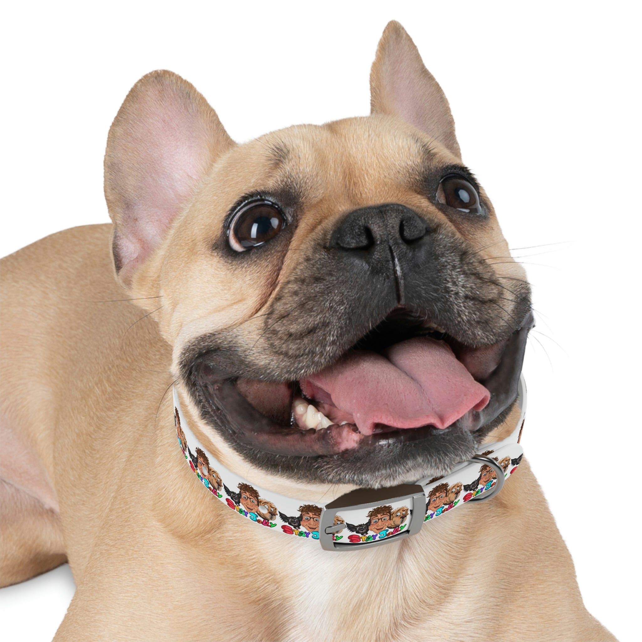 Puddin dog clearance collar